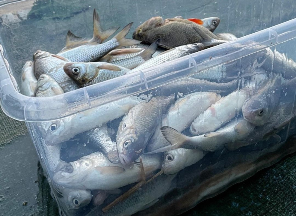 Астраханский запрет на ловлю рыбы
