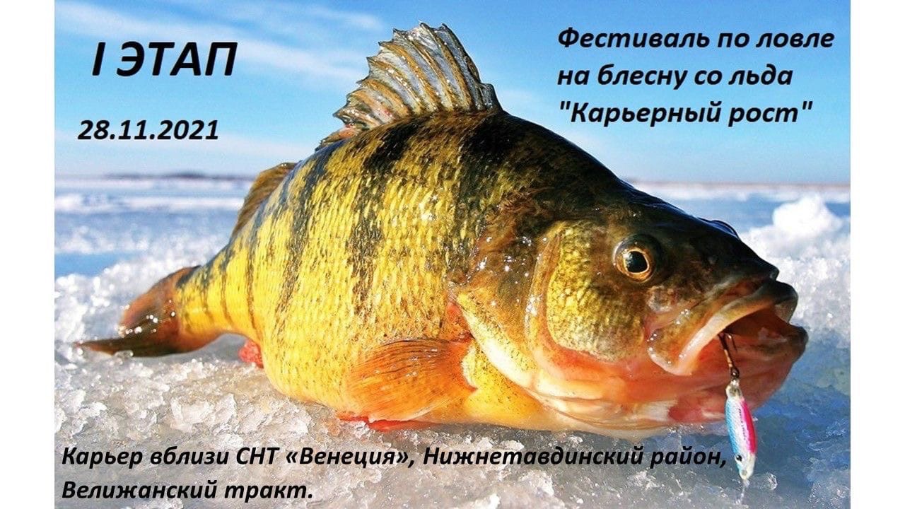 Красное озеро рыба. Окунь Горбач. Красноперый окунь. Крупный окунь зимой. Речной окунь.
