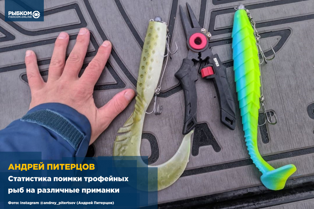 Андрей Питерцов: Статистика поимки трофейных рыб на различные приманки