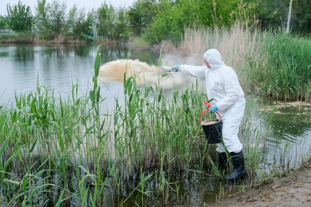 В Волгоградском регионе на водоемах протравят комаров