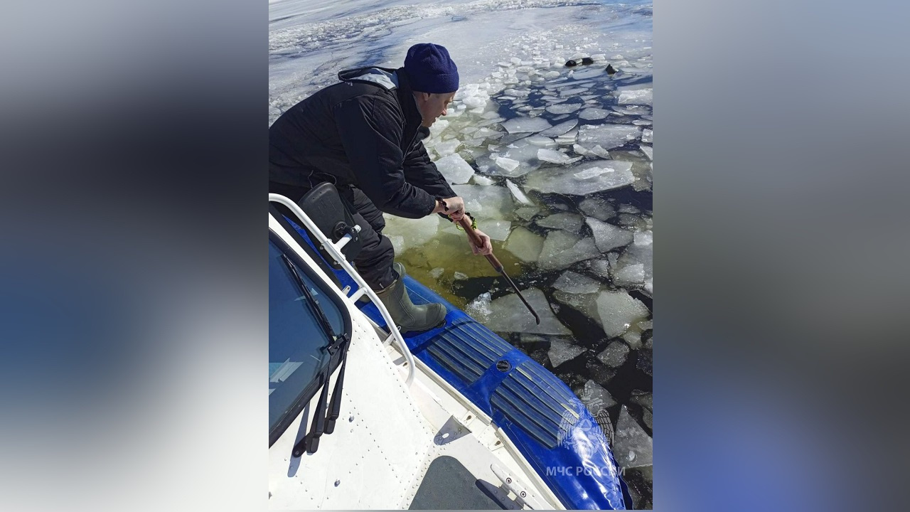 Рыбак провалился под лед. Рыбалка фото. Человек провалился под лед.