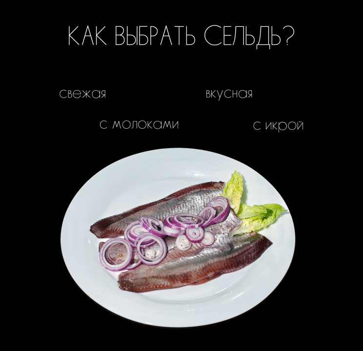 Блюда Из Сельди Свежей Фото