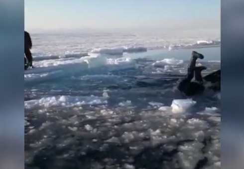 Сахалинский рыбак свалился в воду при попытке переплыть трещину во льду на санях