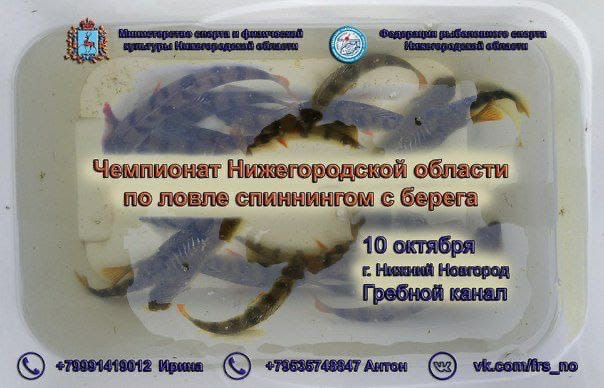 Чемпионат Нижегородской области по ловле спиннингом с берега пройдет 10 октября 2021 года