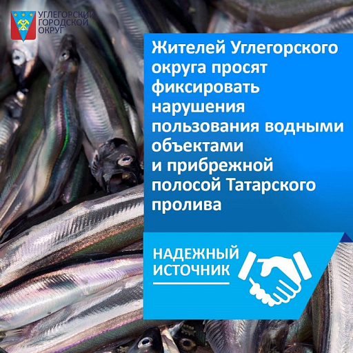 Сахалинская область: Жителей Углегорского ГО просят фиксировать нарушения рыбаков и рыболовецких предприятий на берегу Татарского пролива