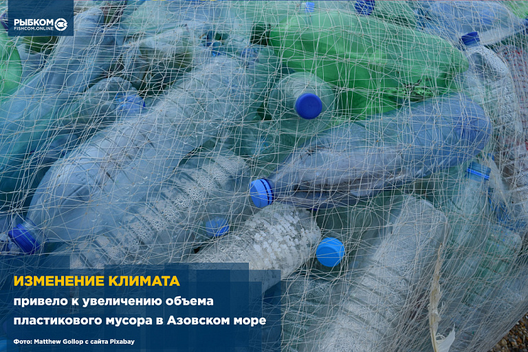 Изменение климата привело к увеличению объема пластикового мусора в Азовском море