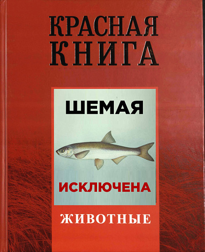 Шемаю исключили из Красной книги РФ