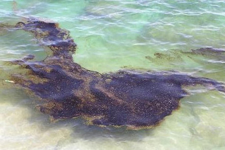 Экологическая катастрофа: Нефть начали сливать в море