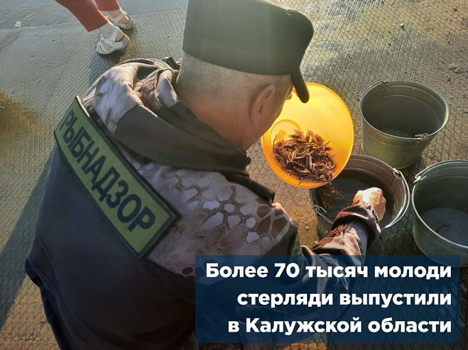 Более 70 тысяч молоди стерляди выпустили в Калужской области