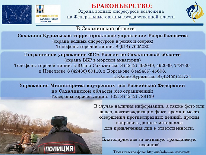 Сахалинская область: Росрыболовство рассказало, куда сообщать о фактах браконьерства
