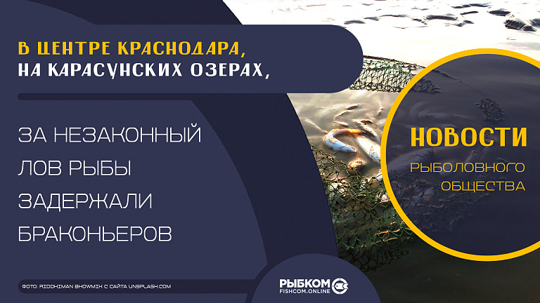 В центре Краснодара, на Карасунских озерах, за незаконный лов рыбы задержали браконьеров