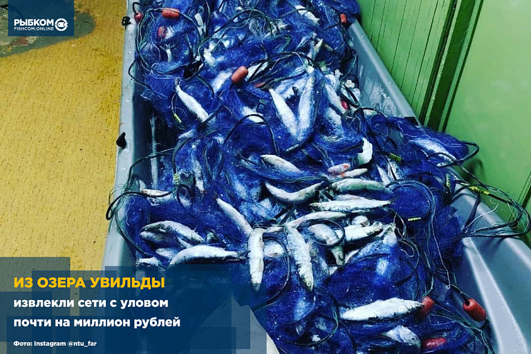 Из озера Увильды извлекли сети с уловом почти на миллион рублей