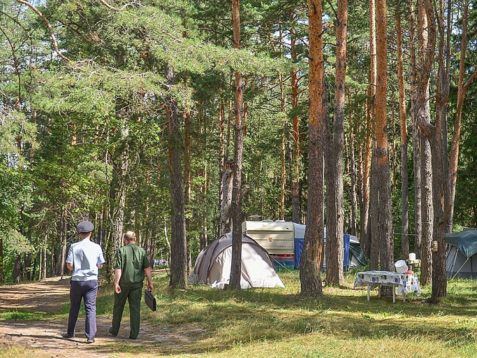 Постоянные экологические рейды планируют проводить в Подмосковье 