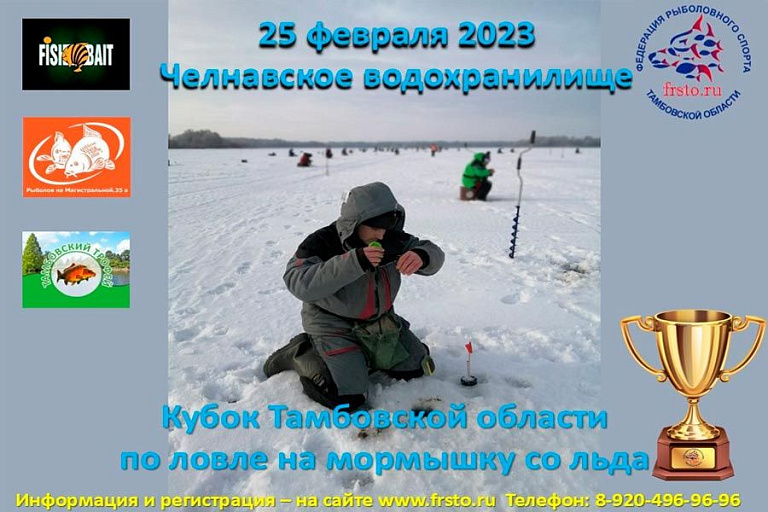 Кубок Тамбовской области по ловле на мормышку со льда пройдет 25 февраля 2023 года