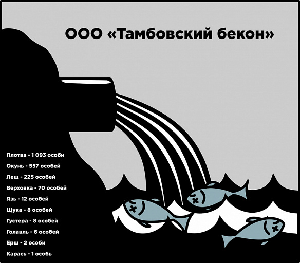 «Тамбовский бекон» заморил рыбы на 5,5 млн руб.