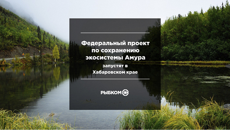 В Хабаровском крае запустят федеральный проект по сохранению экосистемы Амура