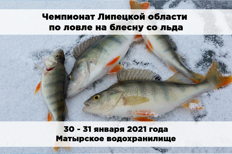 Чемпионат Липецкой области по ловле на блесну со льда пройдет с 30 по 31 января 2021 года