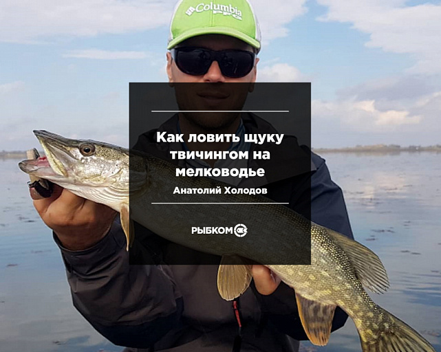 Анатолий Холодов: Как ловить щуку твичингом на мелководье
