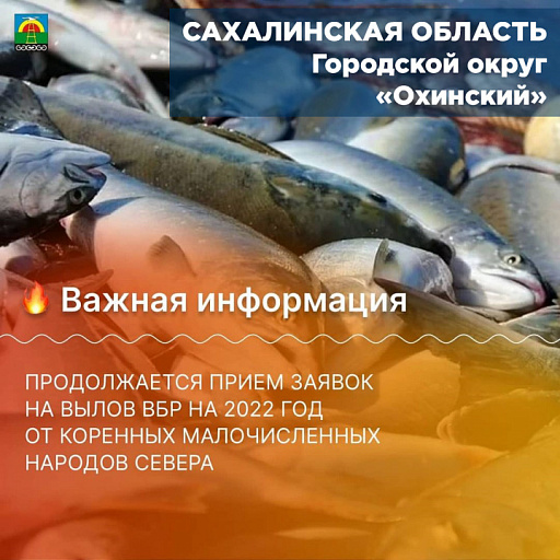 Сахалинская область: В ГО "Охинский" прием заявок на вылов ВБР от КМНС продлится до 1 сентября 2021 года