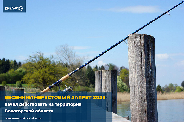 Весенний нерестовый запрет 2022 начал действовать на территории Вологодской области