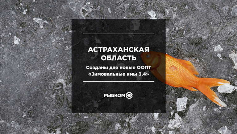 В Астраханской области создали новые заповедные зоны для охраны рыб в зимовальных ямах 3, 4