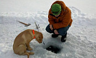 Провалившегося под лед рыбака помогла спасти собака
