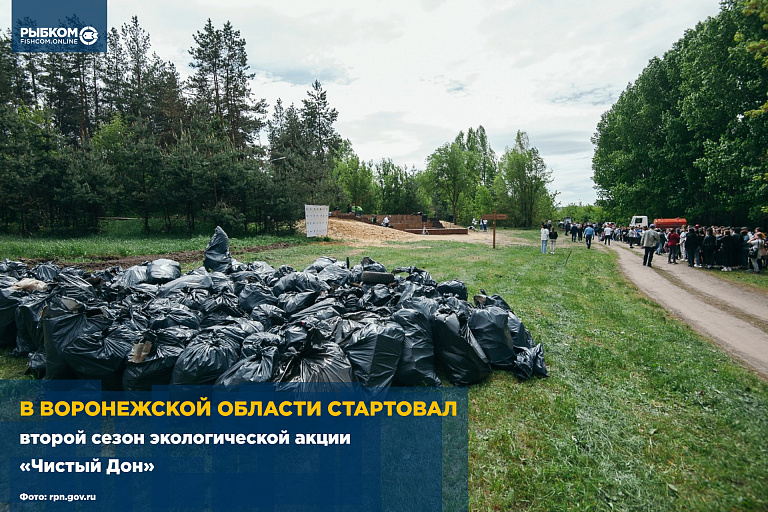 В Воронежской области стартовал второй сезон экологической акции «Чистый Дон»