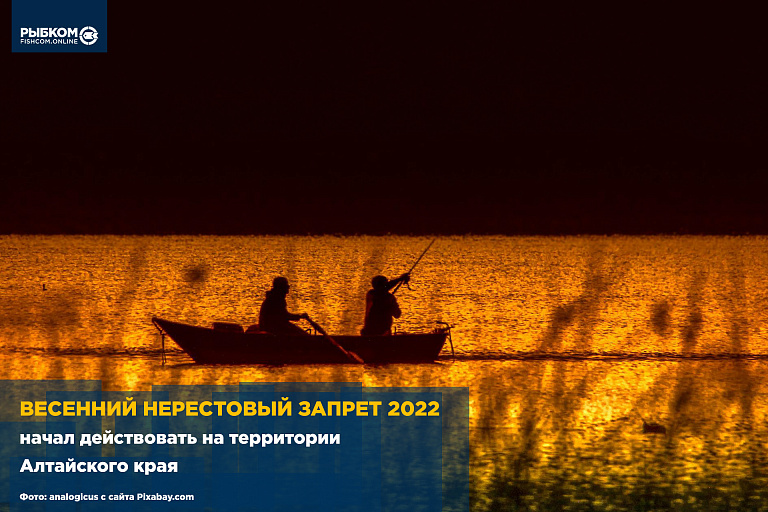 Весенний нерестовый запрет 2022 начал действовать на территории Алтайского края