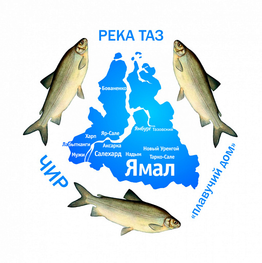 На Ямале строят «плавучий дом» для молоди ценных видов рыб