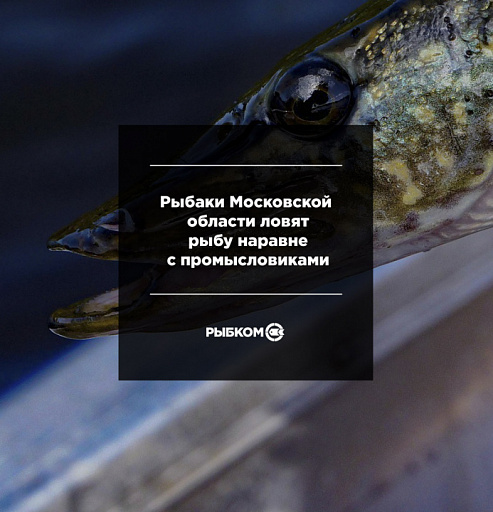 Рыбаки Московской области ловят рыбу наравне с промысловиками