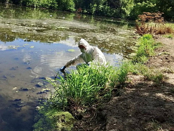 В Курске рыба погибла из-за сброса горячей воды в реку