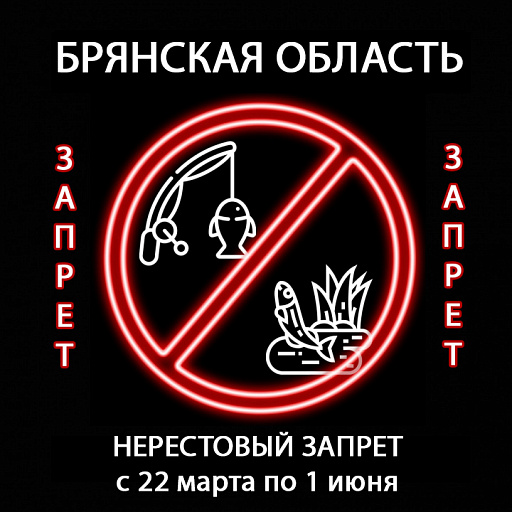 Брянская область: Нерестовый запрет с 22 марта по 1 июня