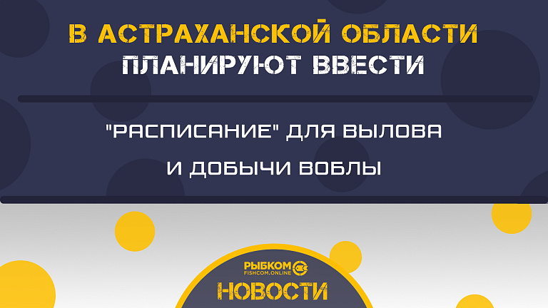 В Астраханской области планируют ввести "расписание" для вылова и добычи воблы с весны 2023 года