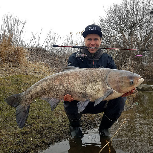 22-х килограммового монстра подарила рыбаку степная река Краснодарского края