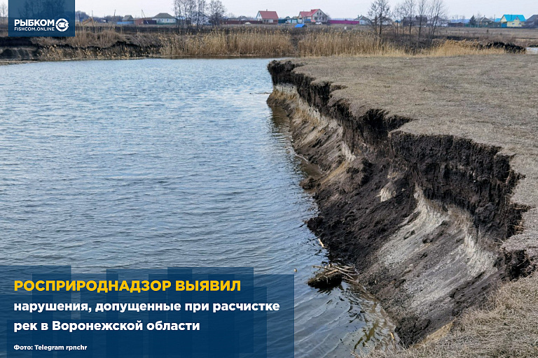 Росприроднадзор выявил нарушения, допущенные при расчистке рек в Воронежской области