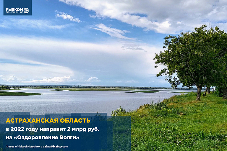 Астраханская область в 2022 году направит 2 млрд руб. на «Оздоровление Волги»
