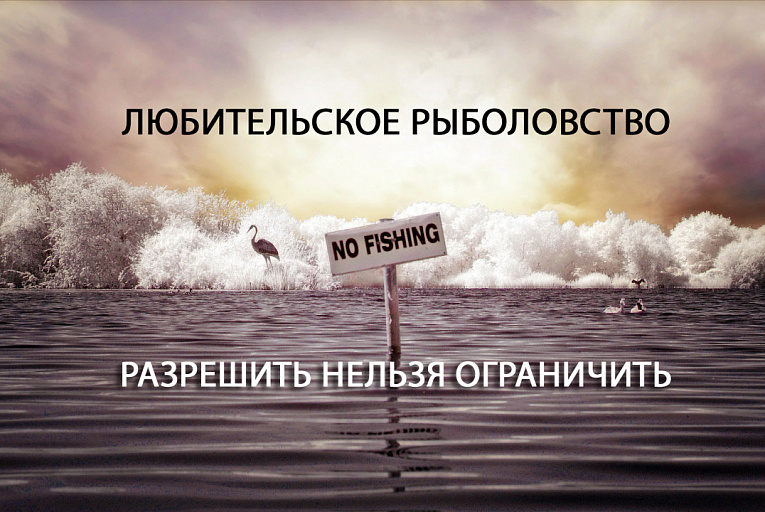 Росрыболовство: Повсеместного запрета на рыбалку пока не будет