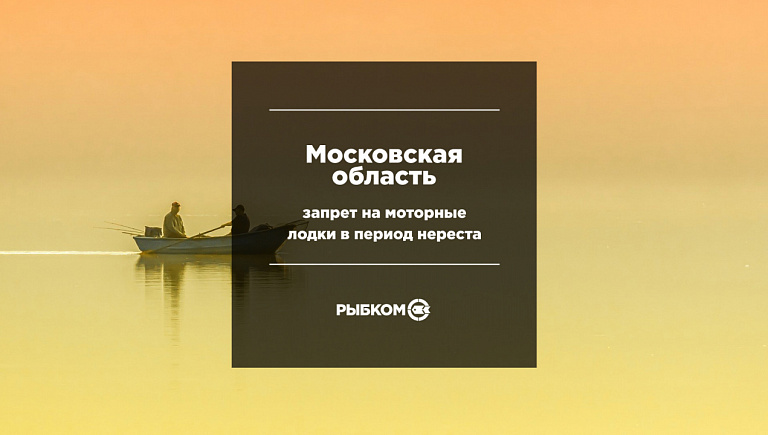 В Московской области вступил в силу запрет на использование моторных лодок в период нереста