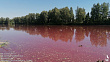 Розовая река - экологическая катастрофа в Подмосковье