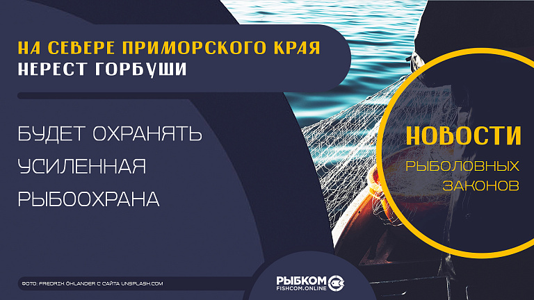 На севере Приморского края нерест горбуши будет охранять усиленная рыбоохрана