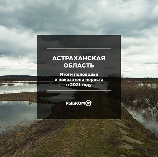 КаспНИРХ: Итоги половодья и показатели нереста в Астраханской области в 2021 году