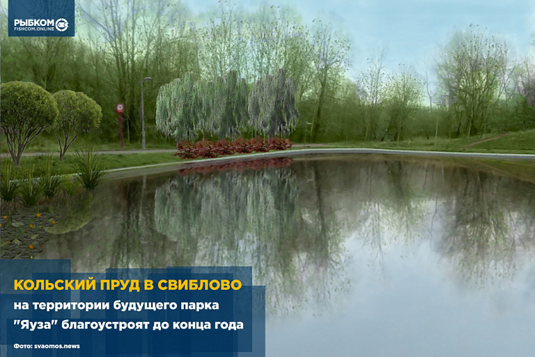 Кольский пруд на территории будущего парка "Яуза" в Москве благоустроят до конца года
