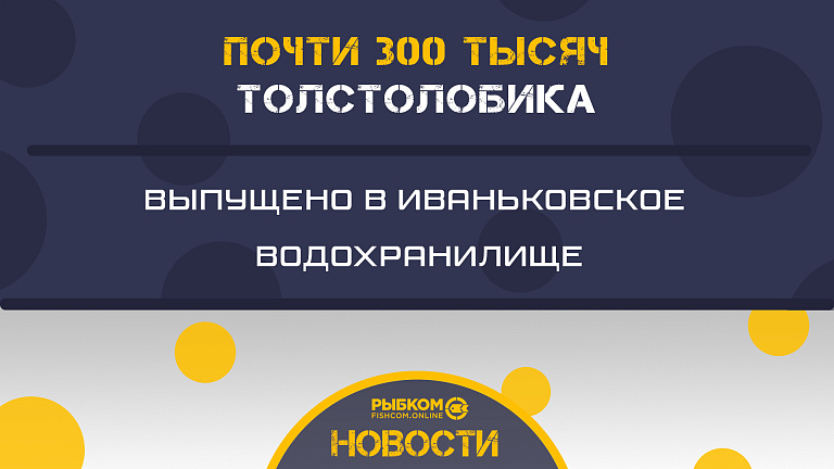 Почти 300 тысяч молоди белого толстолобика выпущено в Иваньковское водохранилище Тверской области