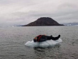 Сами тонут — сами спасают: льдину с рыбаками догнали смелые сибиряки