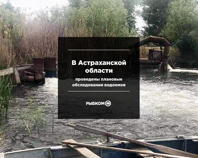 Главрыбвод: В Астраханской области проведены плановые обследования водоемов