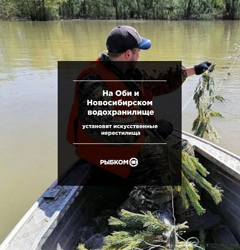 На Оби и Новосибирском водохранилище установят искусственные нерестилища