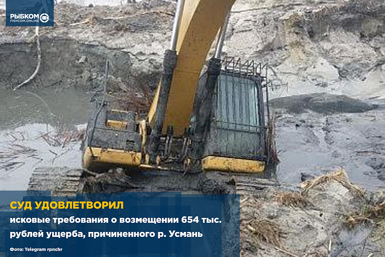 Суд удовлетворил исковые требования о возмещении 654 тыс. рублей ущерба, причиненного р. Усмань