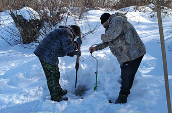 В Оренбуржье стартовала ежегодная акция по спасению рыбы «Глоток воздуха»