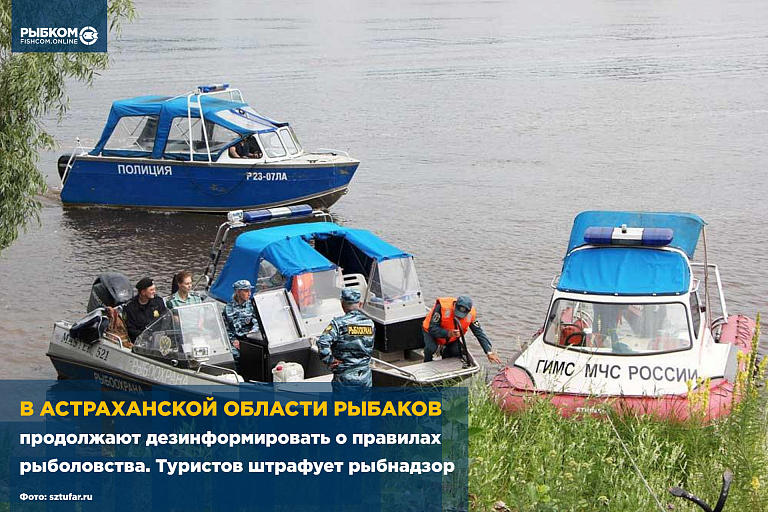 В Астраханской области рыбаков продолжают дезинформировать о правилах рыболовства. Туристов активно штрафует рыбнадзор