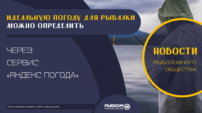 Идеальную погоду для рыбалки можно определить через сервис «Яндекс Погода»